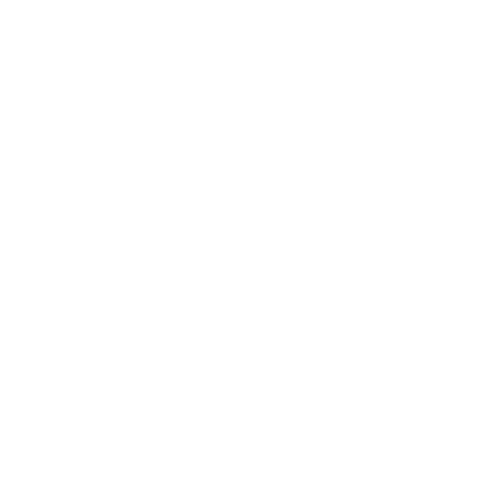 Flying Fox Film